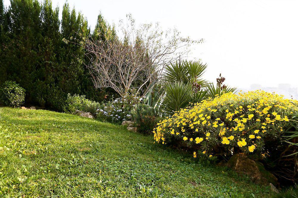 موجا Villa Stephanie المظهر الخارجي الصورة